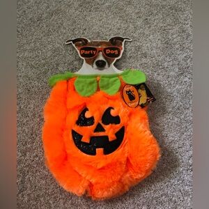 New Pets Costume Halloween M/L Pumpkin Cats or Dogs by Party Dog NWT